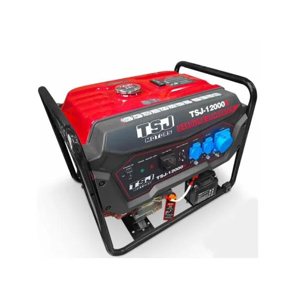 موتور برق بنزینی TSJ مدل 12000E - 3