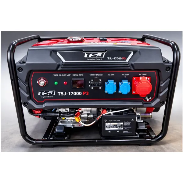 موتور برق 10 کیلووات تک فاز و سه فاز TSJ مدل 17000P3 - 3